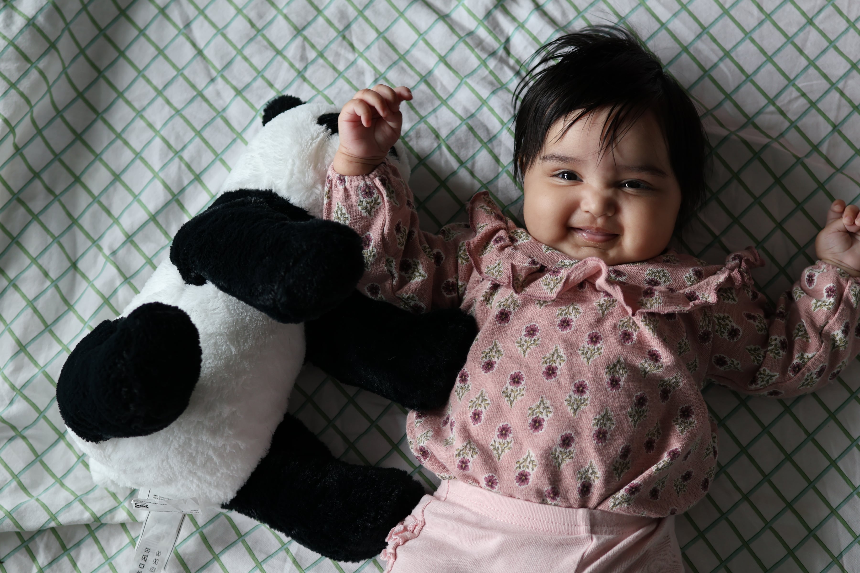 Panda Friend