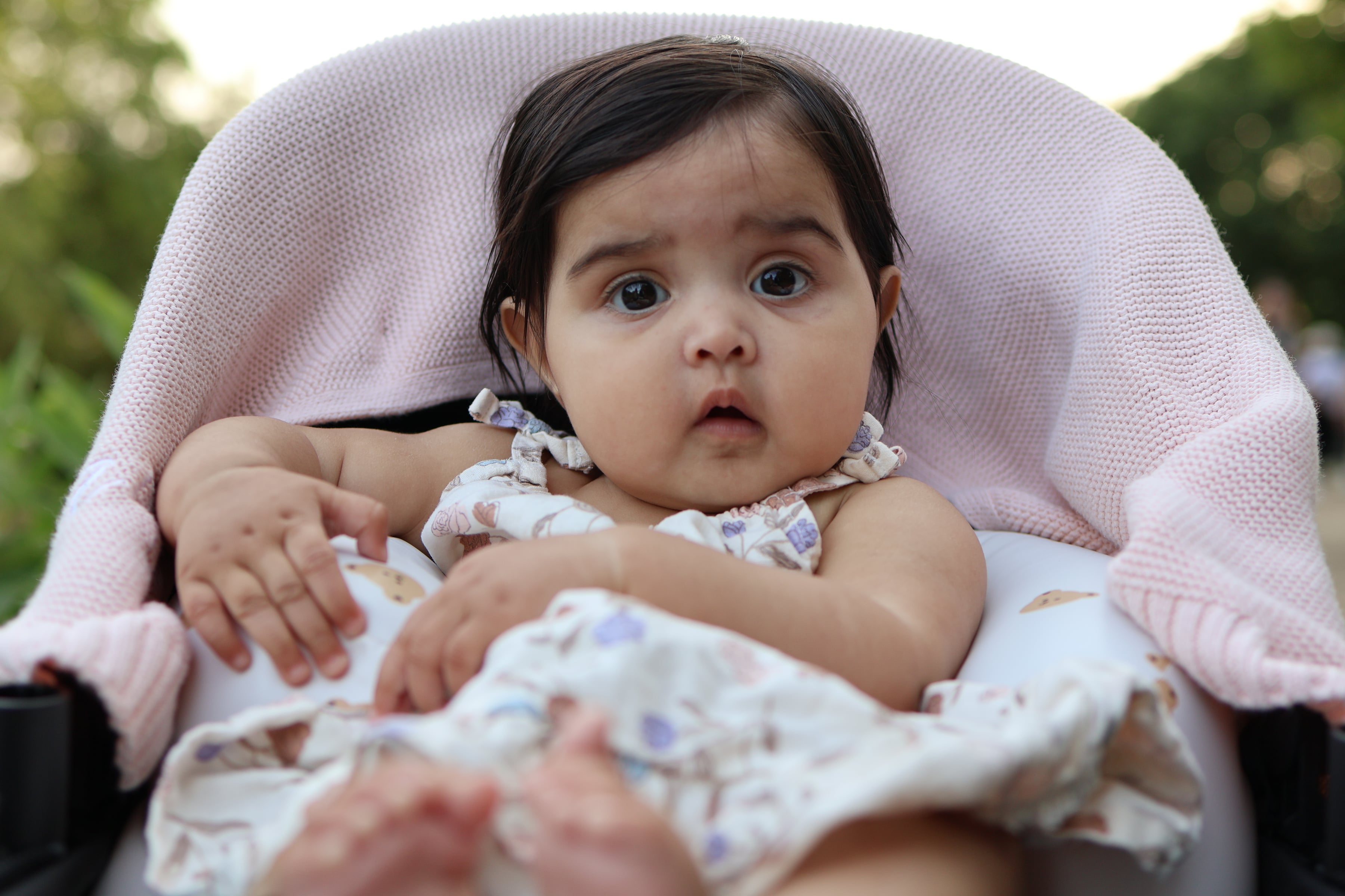 Baby In Stroller