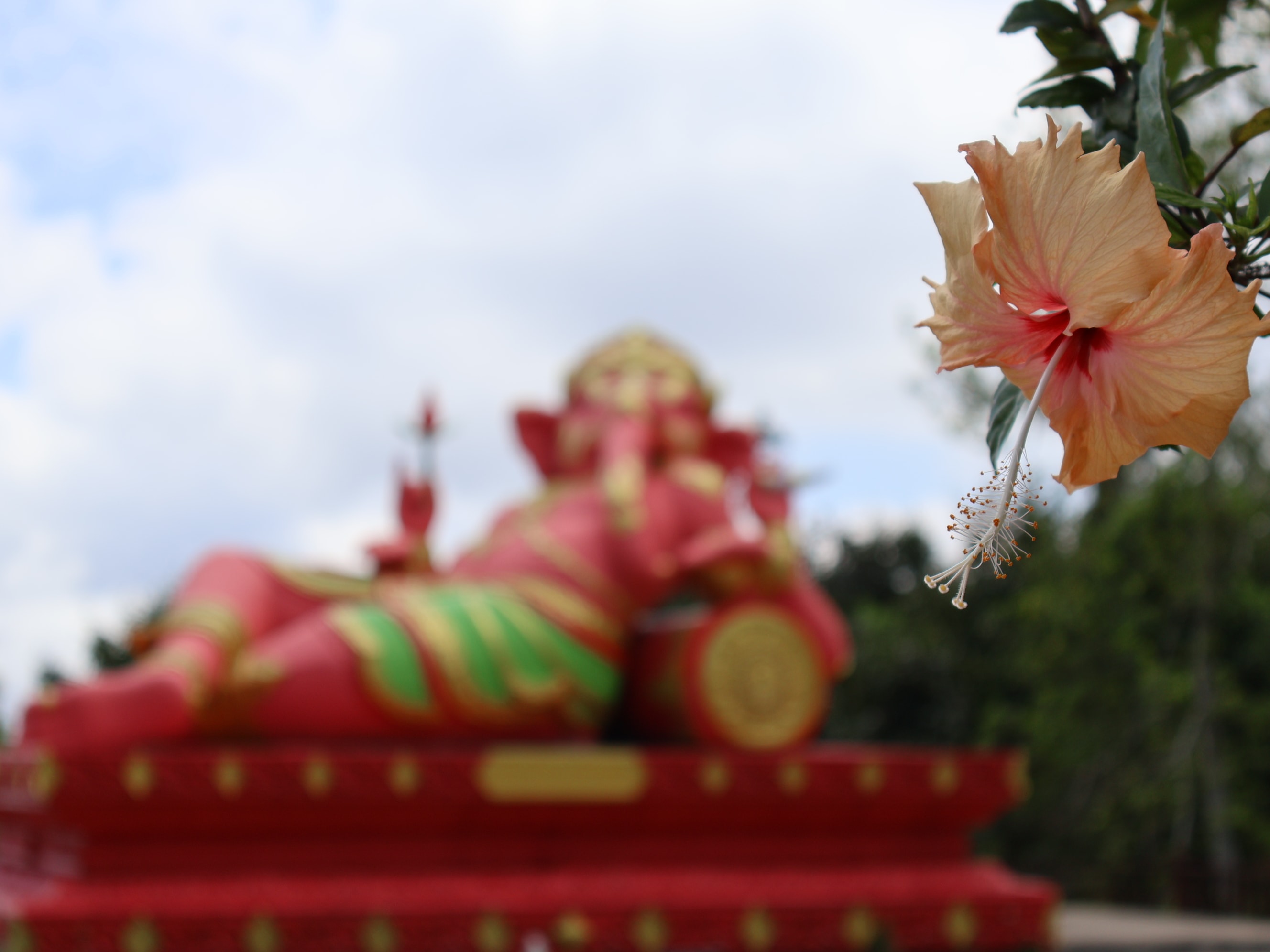 Hibiscus Flower Statue