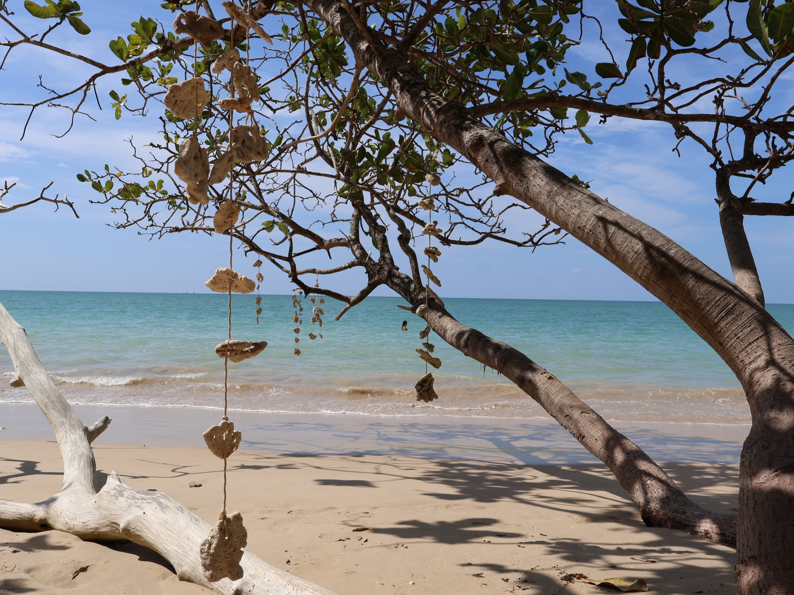 Beach Shell Chime Tree